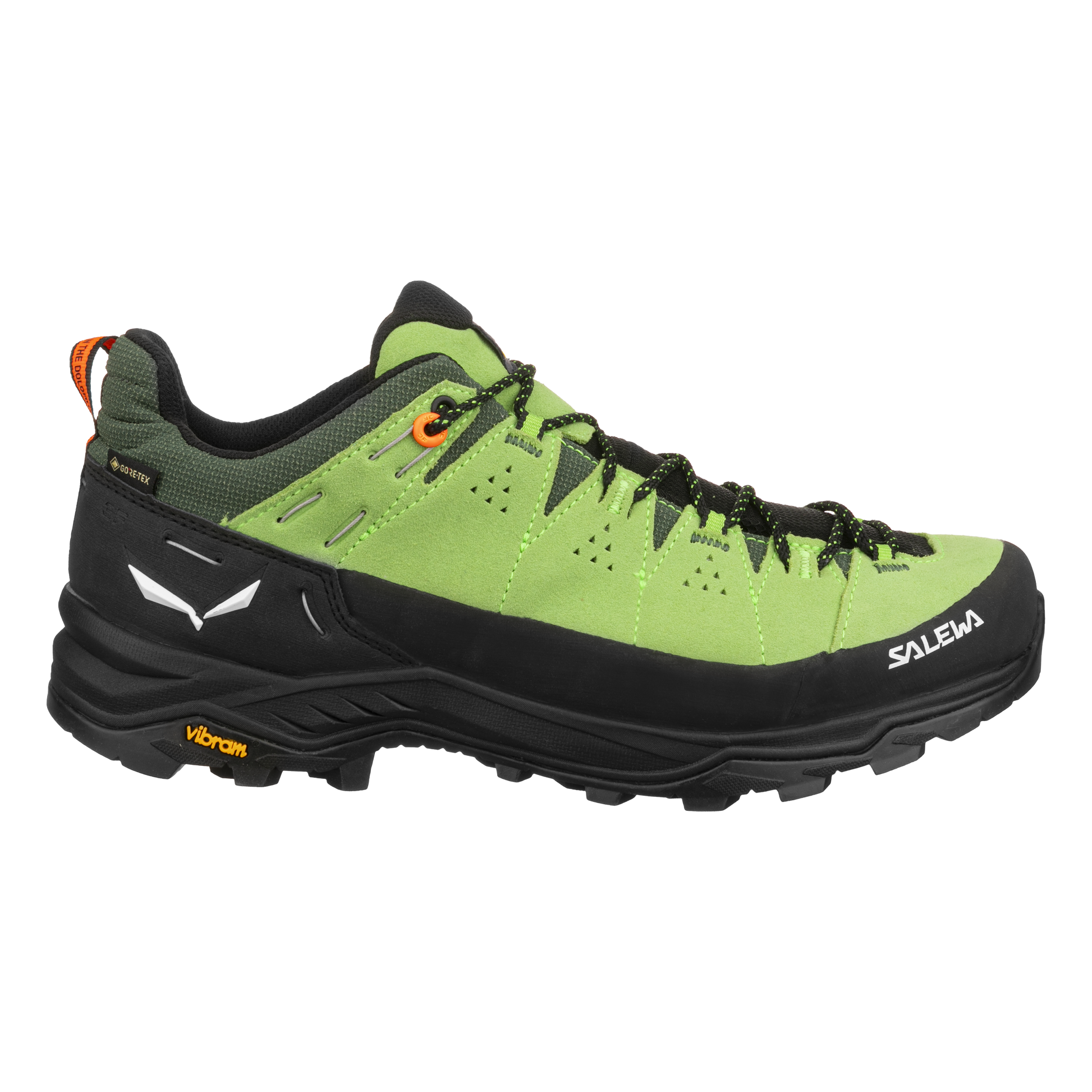 Salewa Pánske trekové topánky Alp trainer 2 GTX Onyx/Black, 46-5